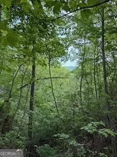 lot Sm4 Raven Fork Trl, Dillard, GA 30537