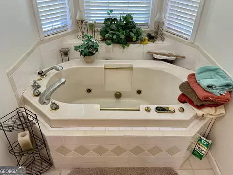 Bath - 363 Cedar Rd, Uvalda, GA 30412 photo 6 of 8