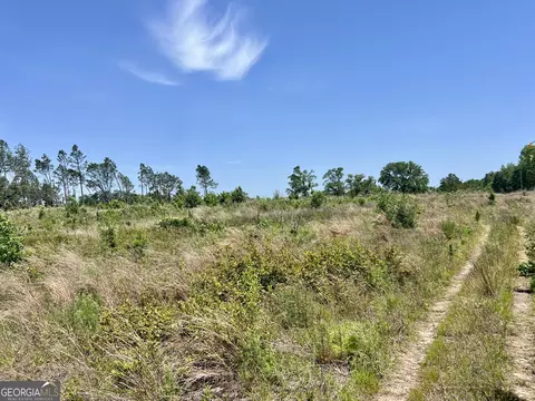 Other - 363 Cedar Rd, Uvalda, GA 30412 photo 46 of 54