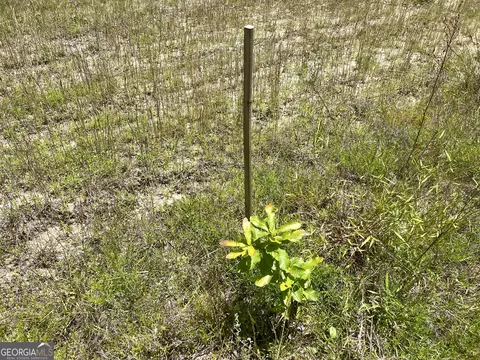 Other - 363 Cedar Rd, Uvalda, GA 30412 photo 38 of 54