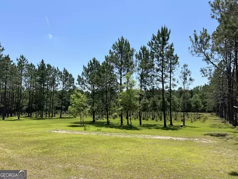 Other - 363 Cedar Rd, Uvalda, GA 30412 photo 30 of 54