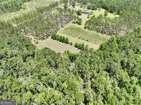 Other - 363 Cedar Rd, Uvalda, GA 30412 photo 11 of 54