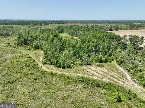 Other - 363 Cedar Rd, Uvalda, GA 30412 photo 4 of 54