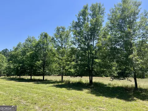 Other - 363 Cedar Rd, Uvalda, GA 30412 photo 51 of 54
