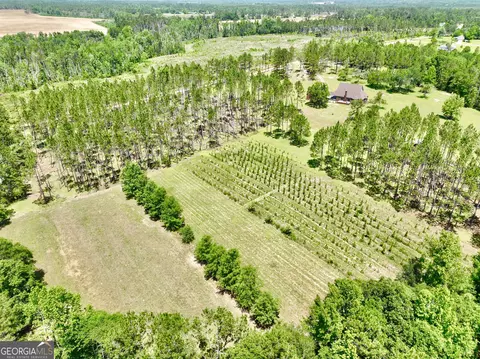 Other - 363 Cedar Rd, Uvalda, GA 30412 photo 2 of 54