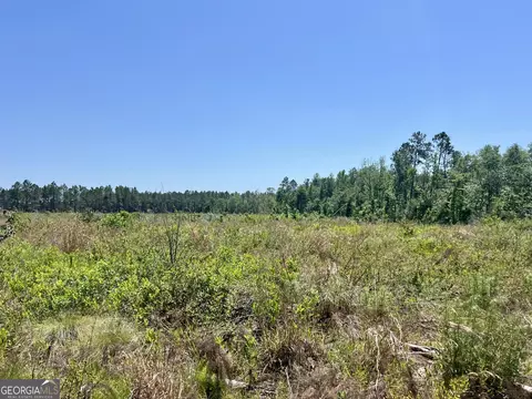 Other - 363 Cedar Rd, Uvalda, GA 30412 photo 44 of 54