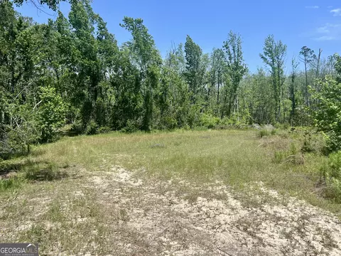 Other - 363 Cedar Rd, Uvalda, GA 30412 photo 42 of 54