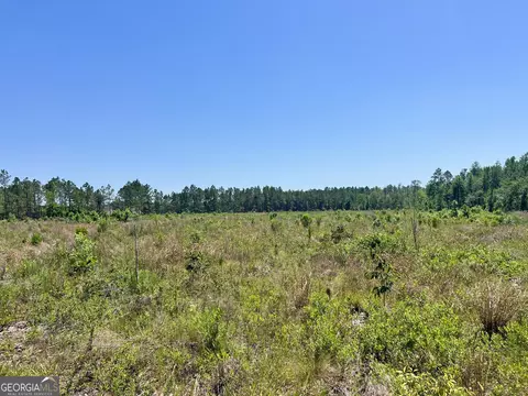 Other - 363 Cedar Rd, Uvalda, GA 30412 photo 47 of 54