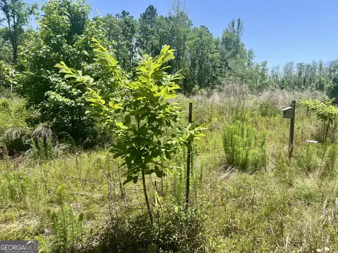 Other - 363 Cedar Rd, Uvalda, GA 30412 photo 39 of 54