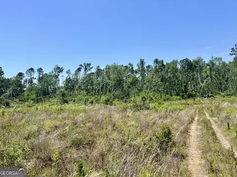 Other - 363 Cedar Rd, Uvalda, GA 30412 photo 45 of 54