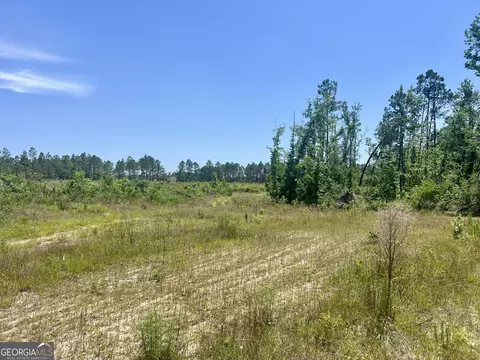Other - 363 Cedar Rd, Uvalda, GA 30412 photo 36 of 54