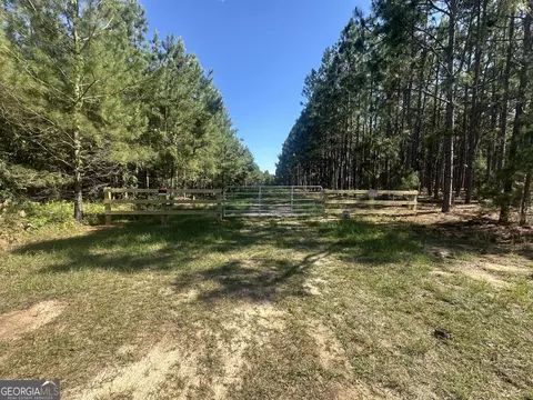0 Dorsey Clark Rd, Sylvania, GA 30467