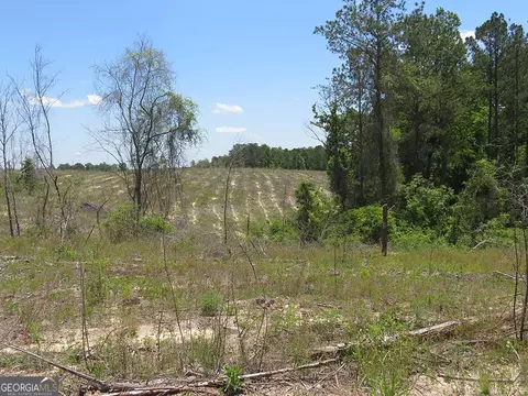 0 B Pineville Rd, Buena Vista, GA 31803