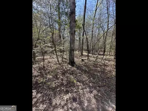 Tr C East New Hope Road, Ellijay, GA 30536