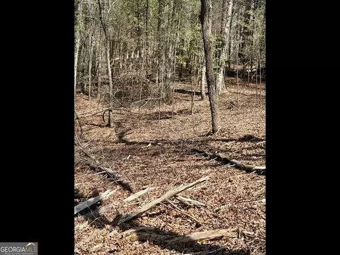 Tr 2 East New Hope Road, Ellijay, GA 30536