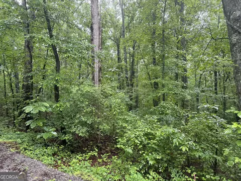 0 Vaughn Rd, Temple, GA 30179 photo 4