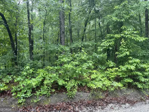 0 Vaughn Rd, Temple, GA 30179 photo 3
