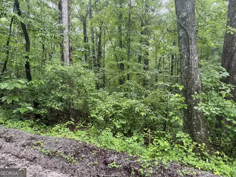 0 Vaughn Rd, Temple, GA 30179