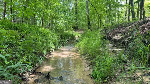 0 Center Hill Rd, Crawfordville, GA 30669