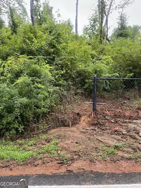 0 Chickasaw Ln, Jackson, GA 30233 photo 6