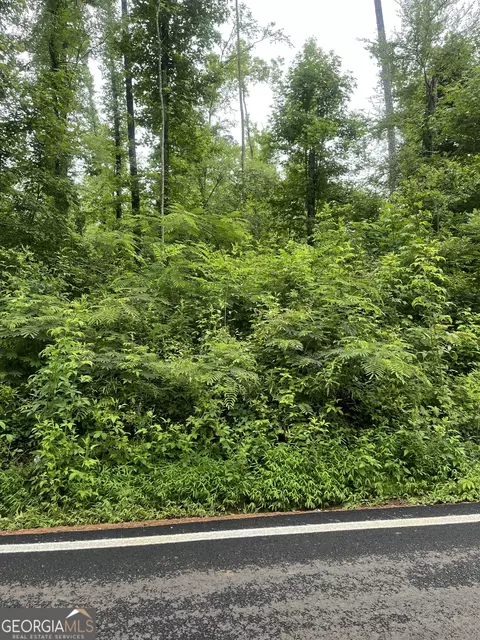 0 Chickasaw Ln, Jackson, GA 30233 photo 3