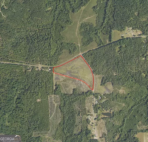 1 Pineville Rd, Buena Vista, GA 31803