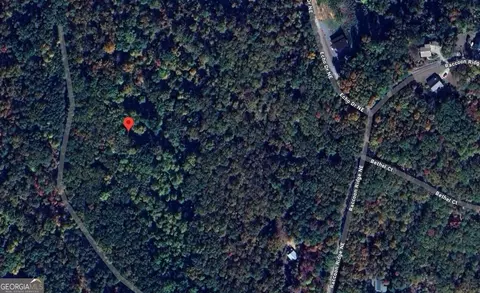 1009 N Cut Dr, Ranger, GA 30734