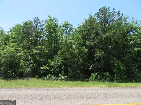 0 Cool Branch Rd, Georgetown, GA 39854 photo 5