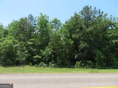 0 Cool Branch Rd, Georgetown, GA 39854 photo 6