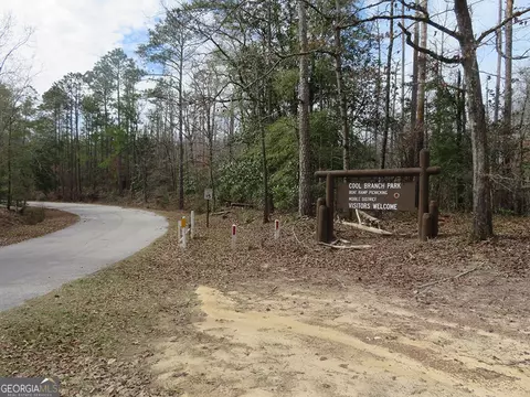 0 Cool Branch Rd, Georgetown, GA 39854 photo 2