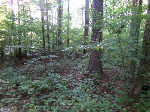 26 Acres Pj Rd E, Covington, GA 30014 photo 21