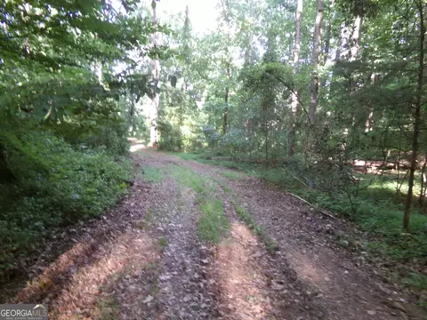 26 Acres Pj Rd E, Covington, GA 30014 photo 9