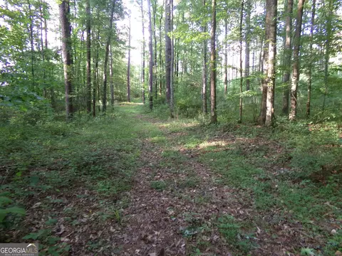 26 Acres Pj Rd E, Covington, GA 30014 photo 22
