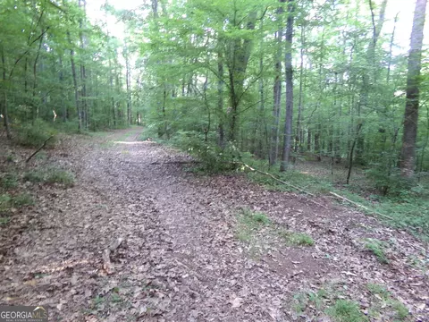 26 Acres Pj Rd E, Covington, GA 30014 photo 10