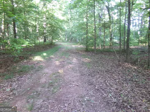 26 Acres Pj Rd E, Covington, GA 30014 photo 6