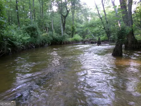 26 Acres Pj Rd E, Covington, GA 30014 photo 15