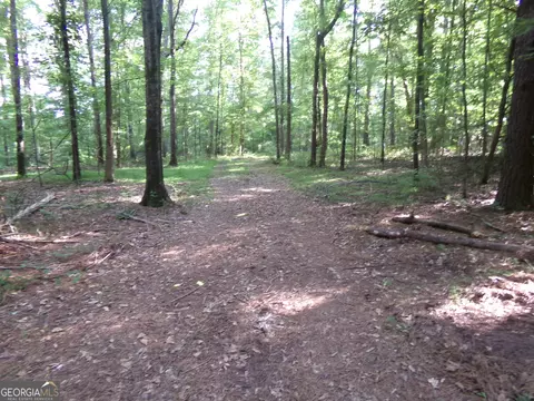 26 Acres Pj Rd E, Covington, GA 30014 photo 8