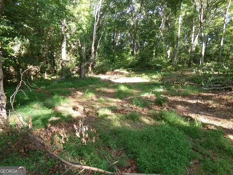 26 Acres Pj Rd E, Covington, GA 30014 photo 5
