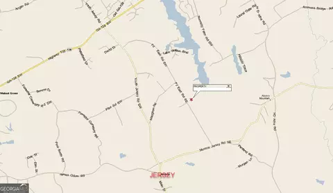 26 Acres Pj Rd E, Covington, GA 30014 photo 30