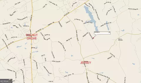 26 Acres Pj Rd E, Covington, GA 30014 photo 29