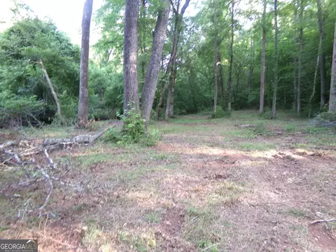 26 Acres Pj Rd E, Covington, GA 30014 photo 14