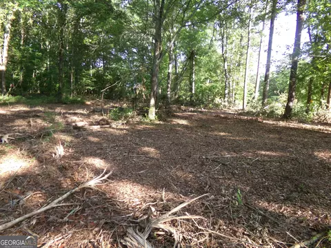 26 Acres Pj Rd E, Covington, GA 30014 photo 4