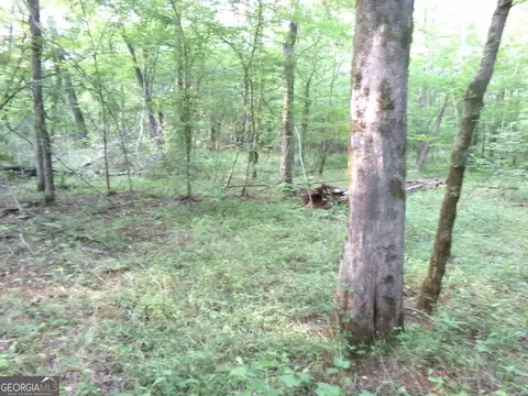 26 Acres Pj Rd E, Covington, GA 30014 photo 20