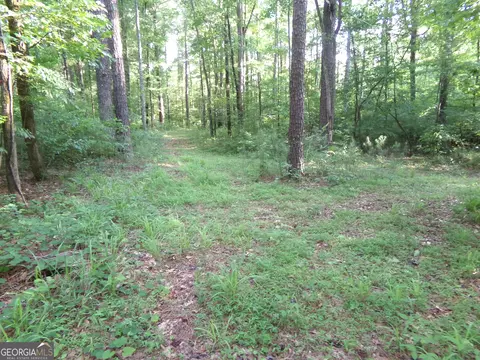 26 Acres Pj Rd E, Covington, GA 30014 photo 23