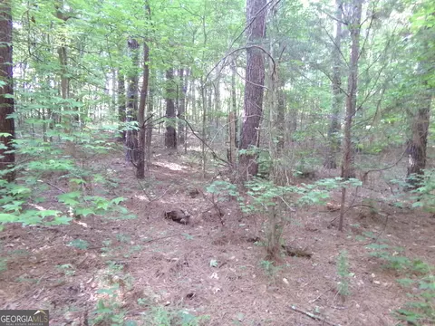 26 Acres Pj Rd E, Covington, GA 30014 photo 7