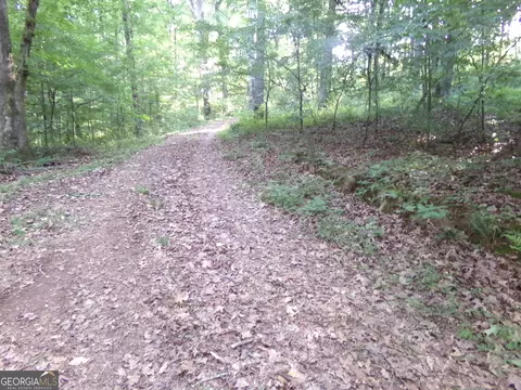 26 Acres Pj Rd E, Covington, GA 30014 photo 11