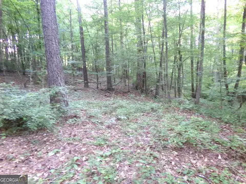 26 Acres Pj Rd E, Covington, GA 30014 photo 12