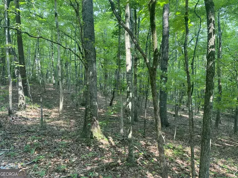53 Squirrel Hunting Road, Ellijay, GA 30536