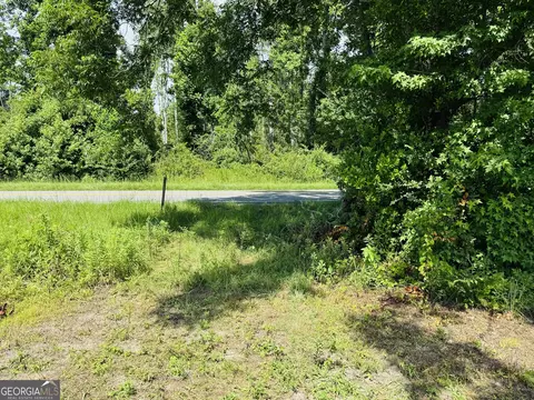 5 Acres Val Del Rd, Adel, GA 31620 photo 4