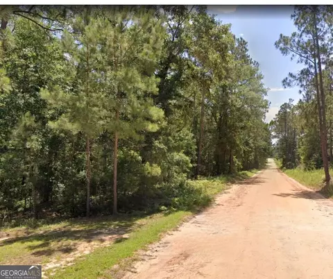 6 80 Ac Scarlet Rd, Lyons, GA 30436 photo 3